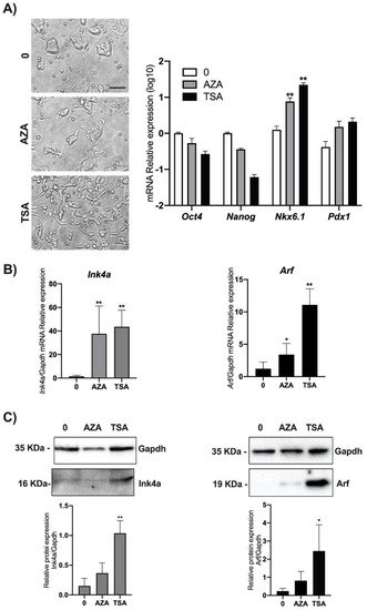 Biomolecules 11 01124 g004 550