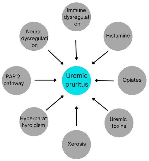 Chronic Kidney Disease-Associated Pruritus | Encyclopedia MDPI