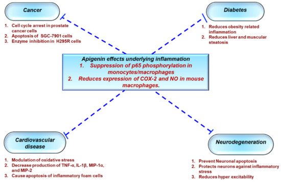 Antioxidants 08 00035 g002 550