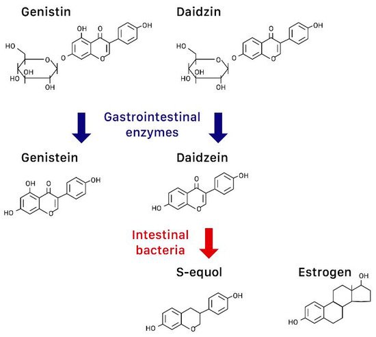 Nutrients 11 02649 g001 550