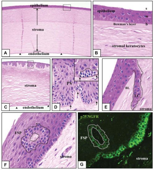 Bioengineering 08 00108 g002 550