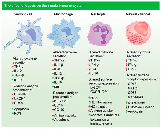 Biomolecules 11 01011 g001 550