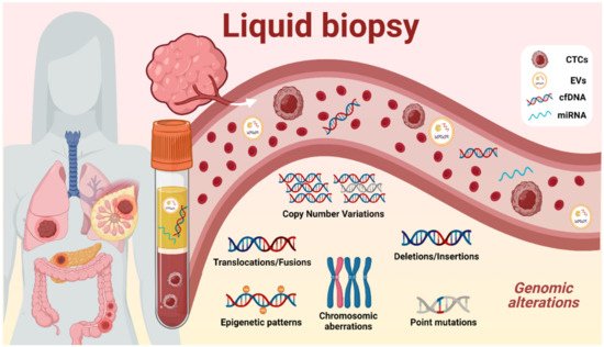 Biomedicines 09 00906 g001 550