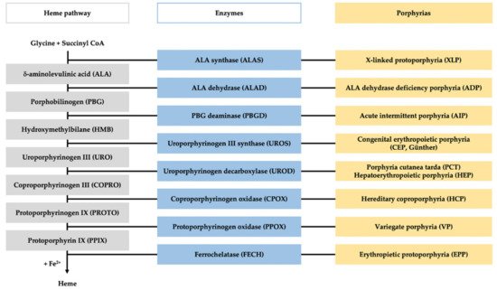 Diagnostics 11 01343 g001 550