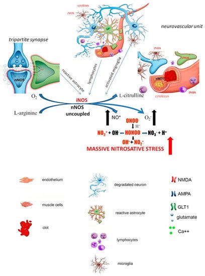 Biomolecules 11 01097 g003 550