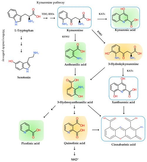 Biomedicines 09 00897 g003 550