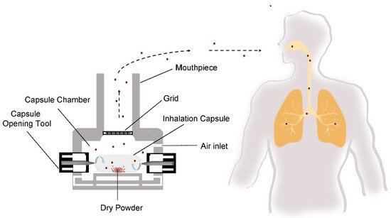 Pharmaceutics 13 01213 g002 550