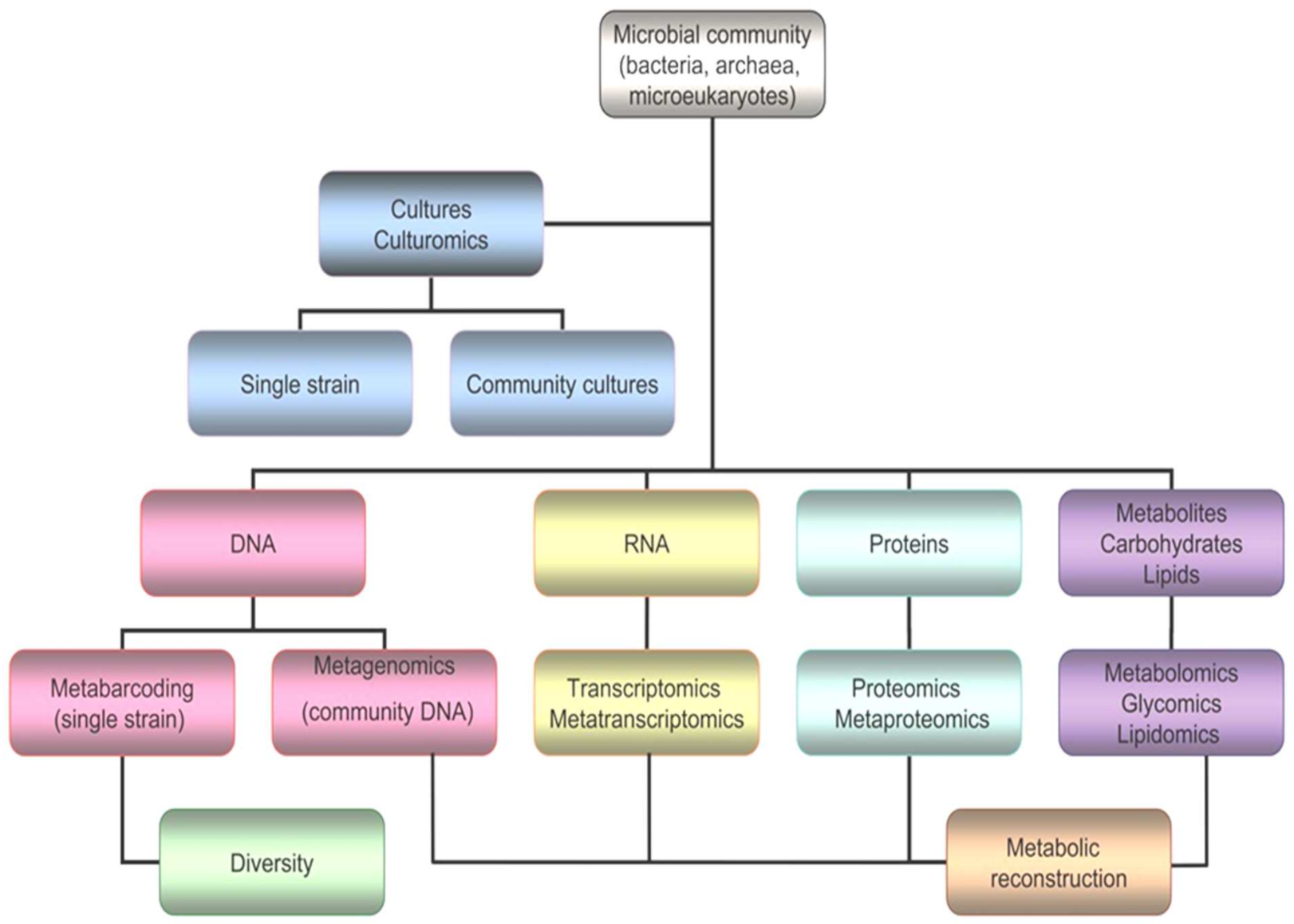 Biomolecules 11 01155 g005