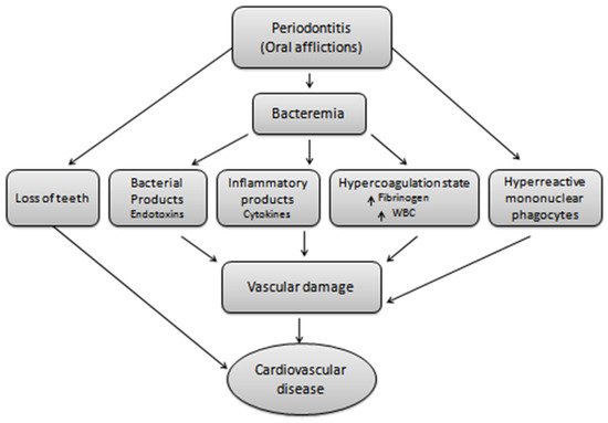 Pharmaceutics 13 01175 g002 550