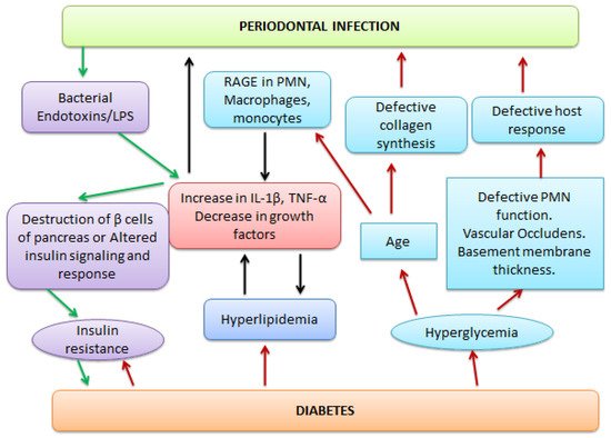 Pharmaceutics 13 01175 g003 550