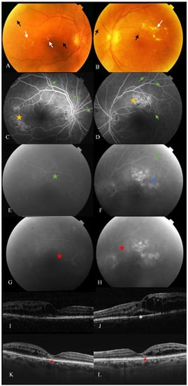 Cells 10 01683 g001 550