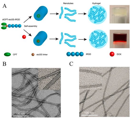 Gels 07 00105 g003 550