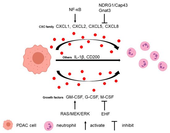 Biomolecules 11 01170 g001 550