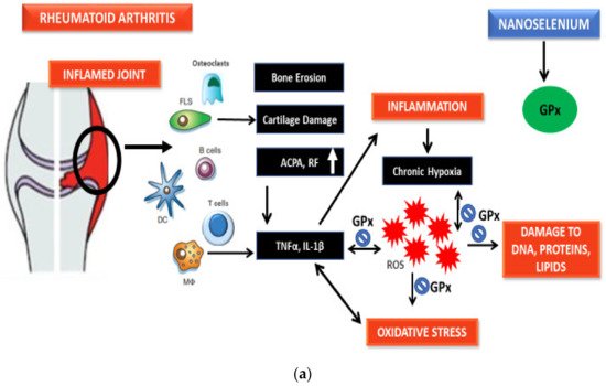 Nanomaterials 11 02005 g002a 550