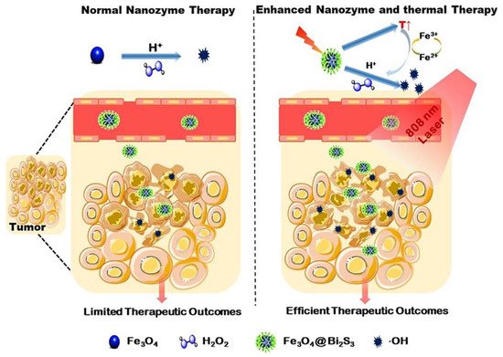 Biomolecules 11 01015 g006 550