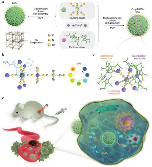 Biomolecules 11 01015 g007 550