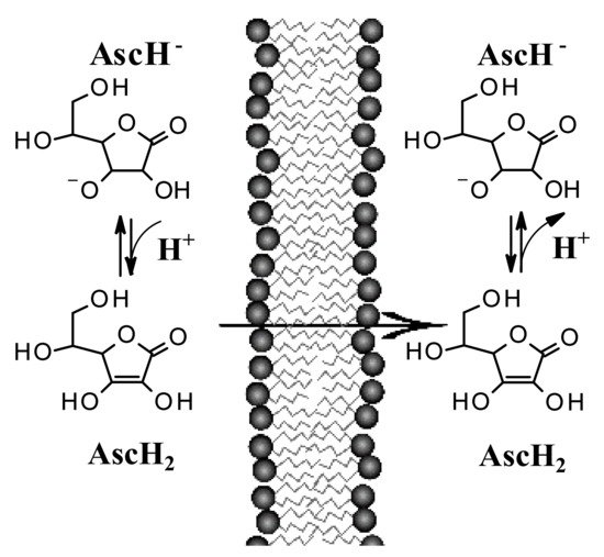 Pharmaceutics 13 01201 g004 550