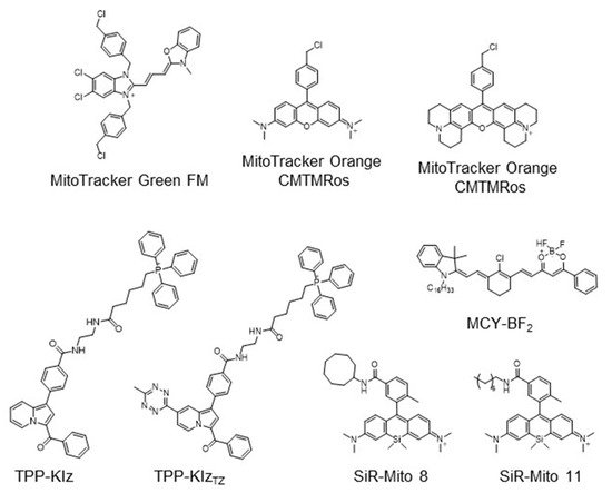 Materials 14 04180 g001 550