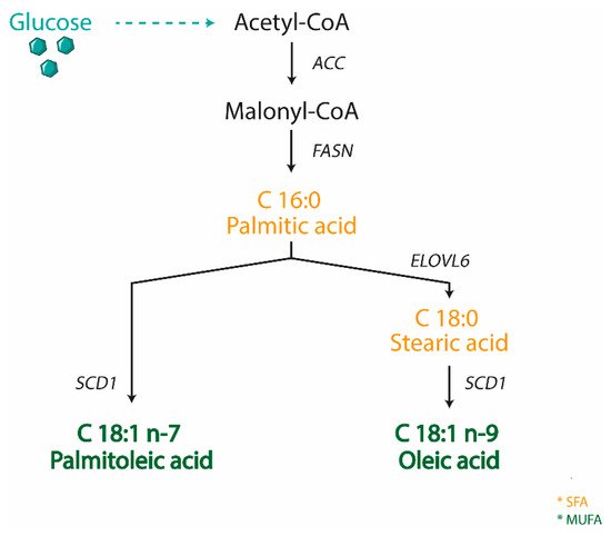 Nutrients 11 02283 g001 550