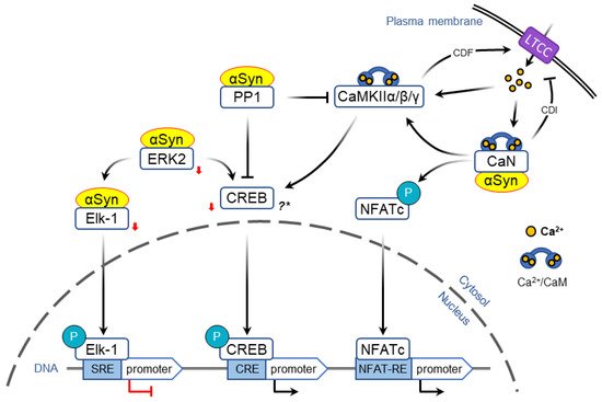 Genes 12 01166 g003 550