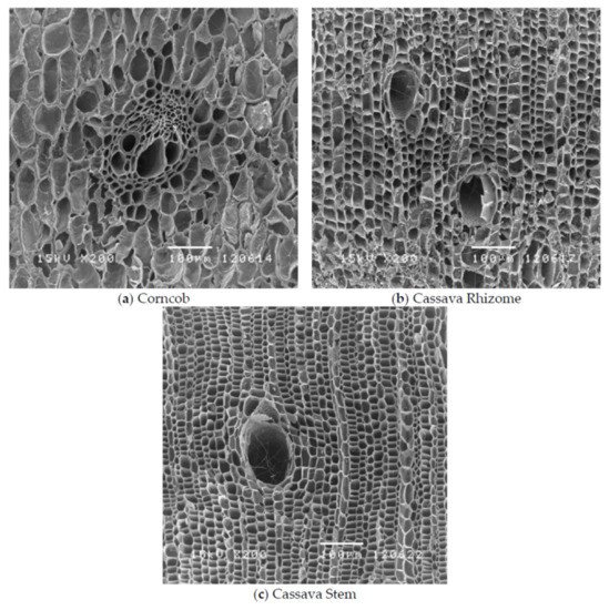 Polymers 13 02663 g002 550