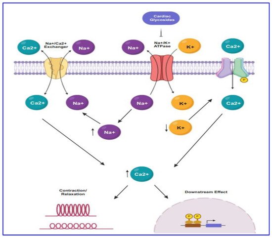 Biomolecules 11 01275 g001 550