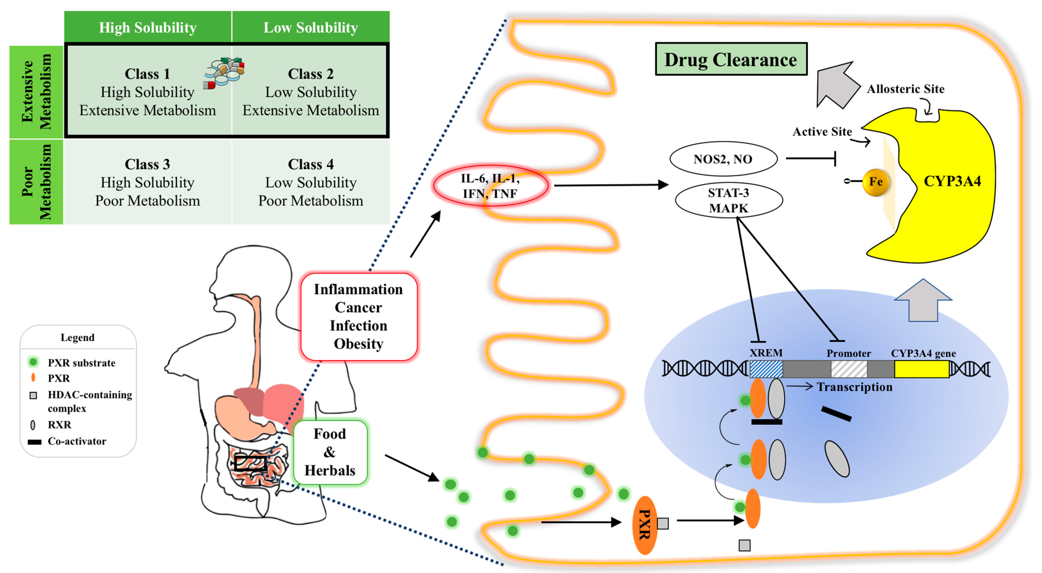 Pharmaceutics 13 01261 g001