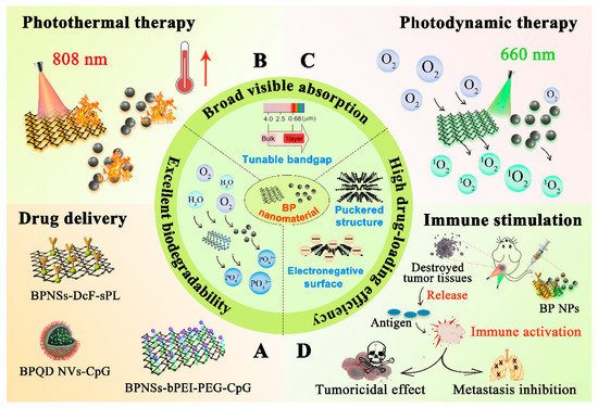 Pharmaceutics 13 01344 g001 550