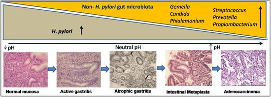 Pathogens 10 01099 g002 550