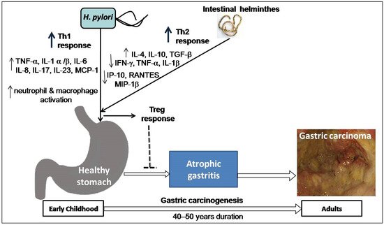 Pathogens 10 01099 g003 550