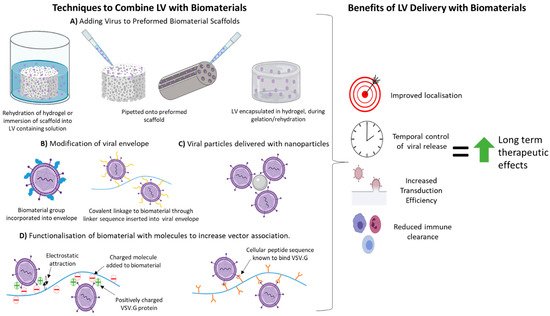 Cells 10 02102 g001 550