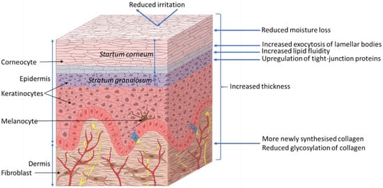 Nutrients 11 01813 g002 550