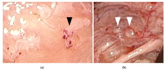 Endocrines 02 00028 g001 550