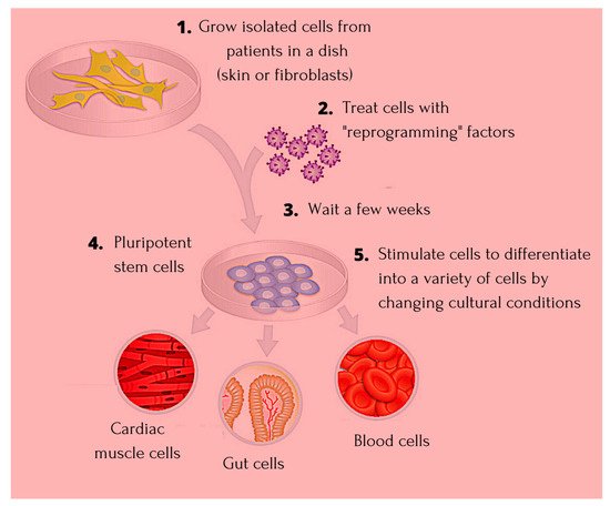 Cells 10 02319 g001 550