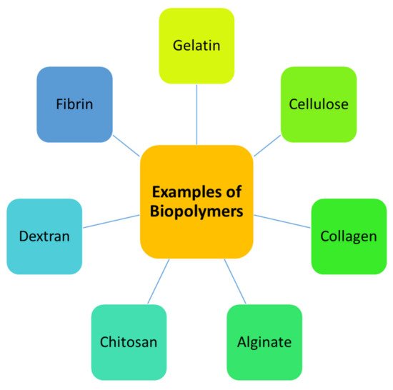 Polymers 13 02959 g001 550