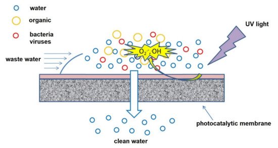 Membranes 11 00678 g004 550