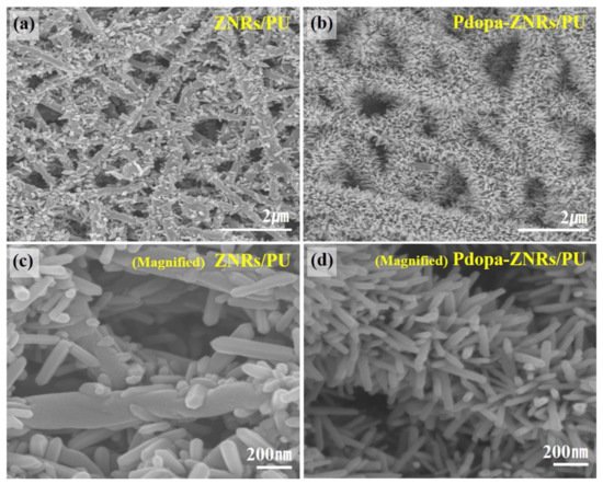 Membranes 11 00678 g011 550