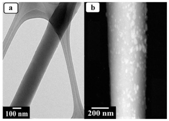 Membranes 11 00678 g012 550