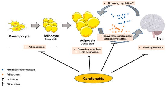 Nutrients 11 01562 g002 550