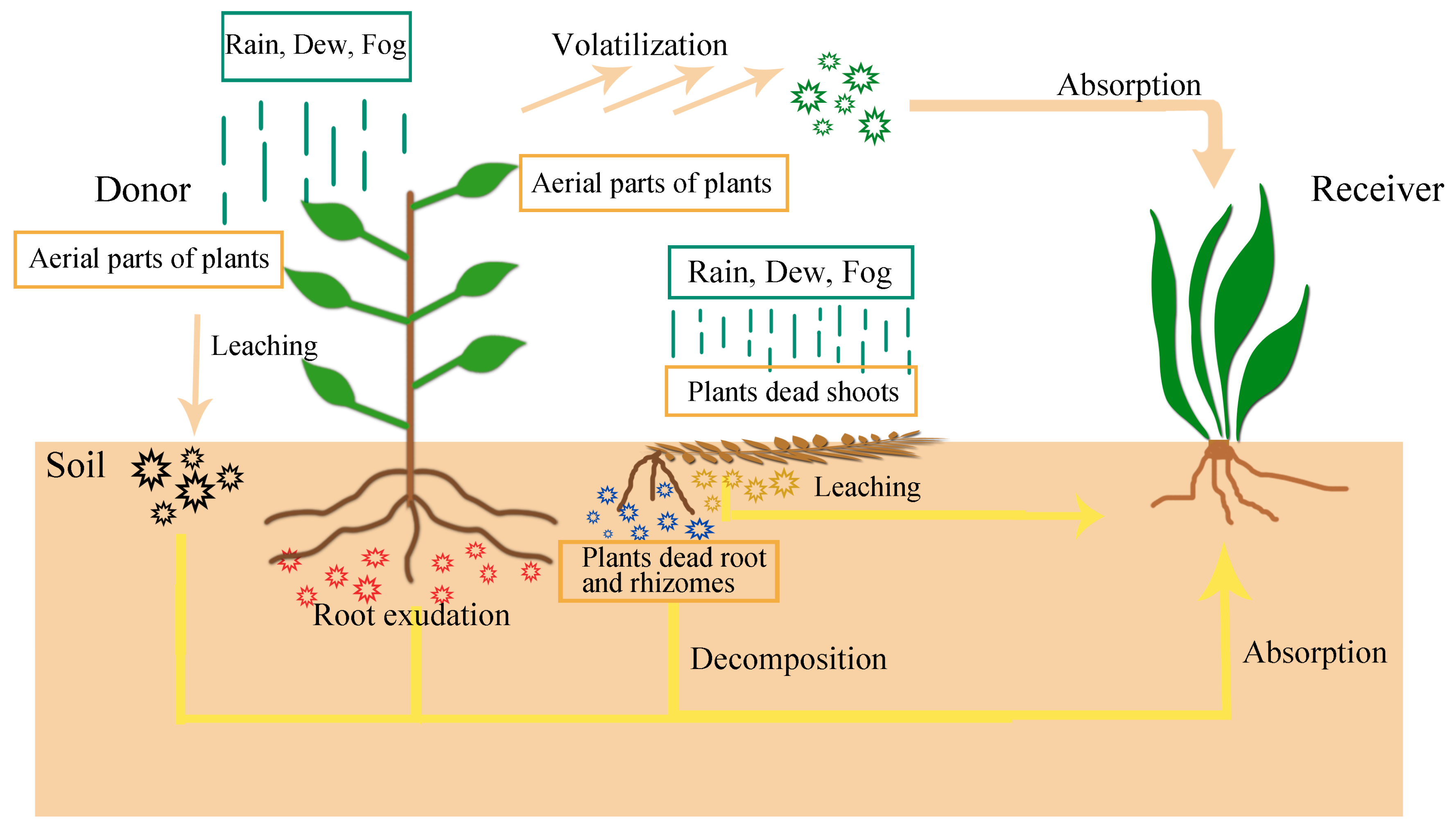 Horticulturae 07 00278 g001