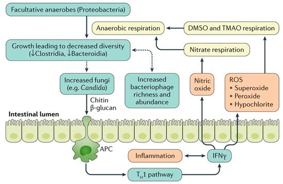 Nutrients 11 01498 g002 550