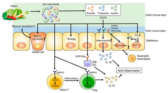 Nutrients 11 01498 g003 550