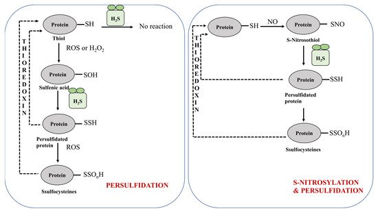 Hydrogen 02 00017 g005 550