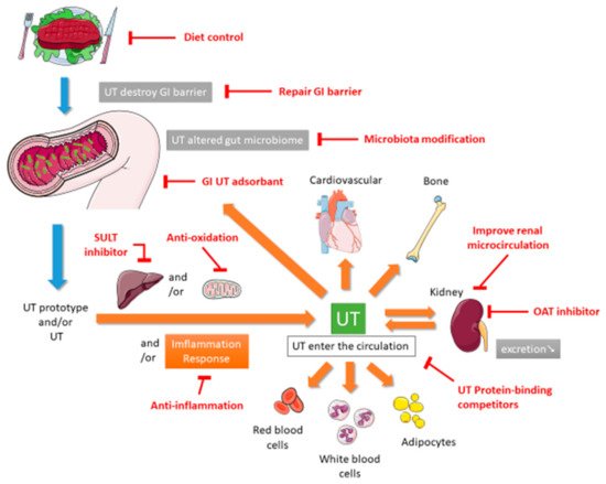 Toxins 13 00573 g001 550