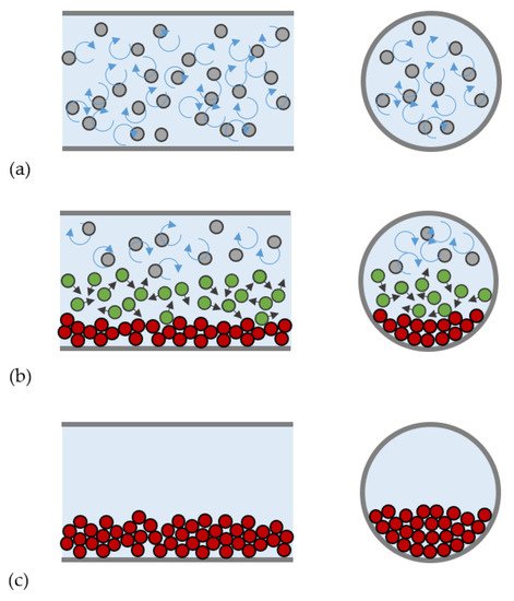 Processes 09 01566 g001 550