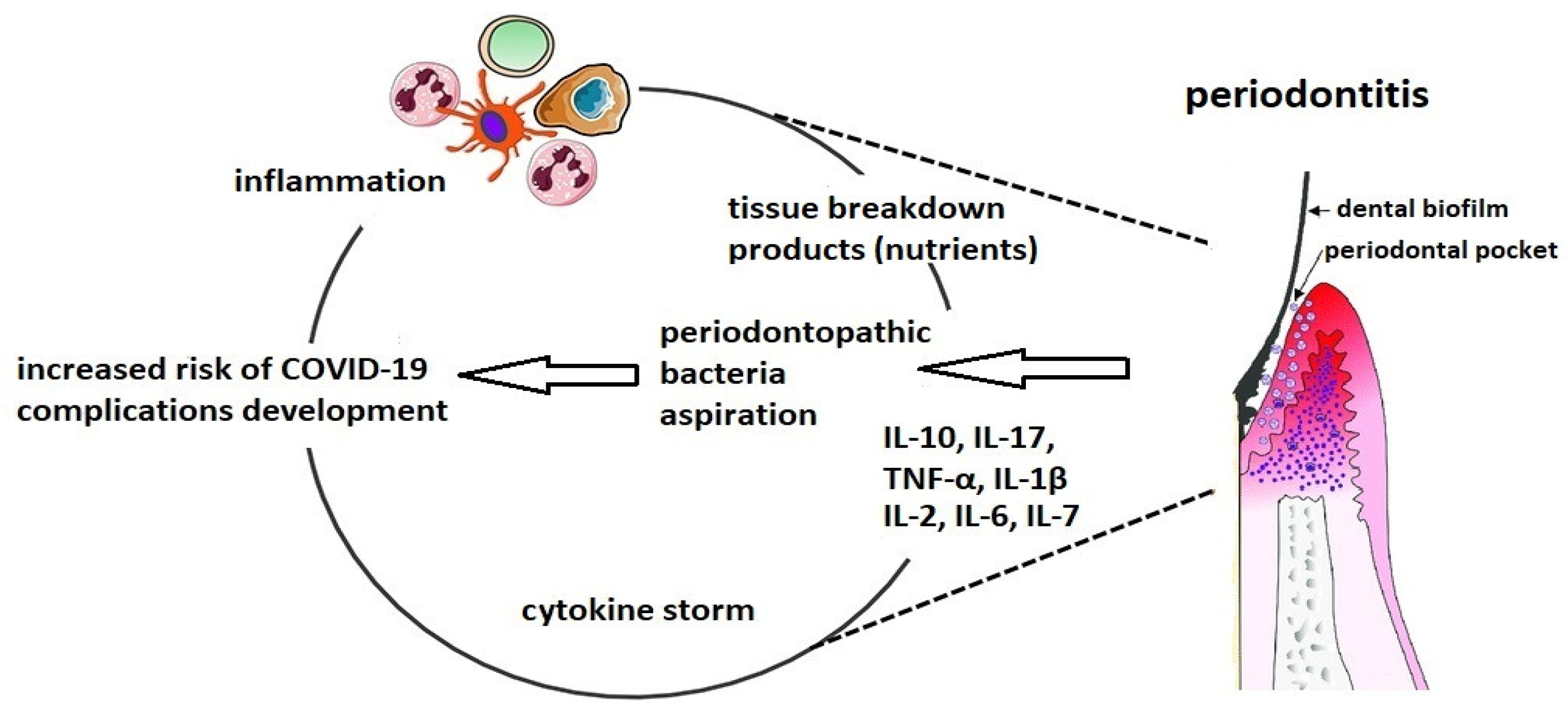 Molecules 26 05516 g001