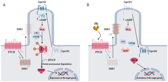 Biomedicines 09 01188 g001 550