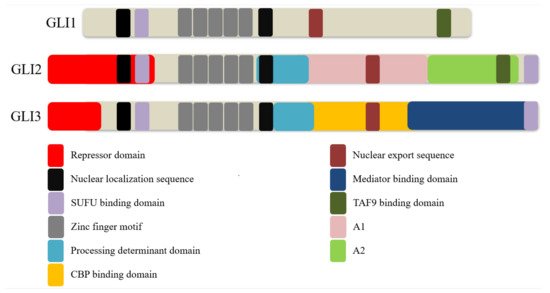 Biomedicines 09 01188 g002 550