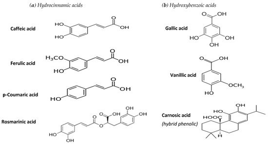 Molecules 26 05405 g001 550