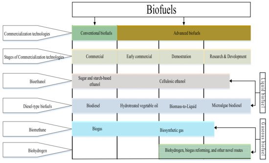 Bioethanol vs Biodiesel